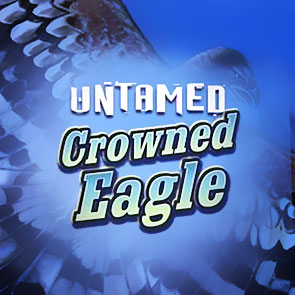 Untamed Crowned Eagle